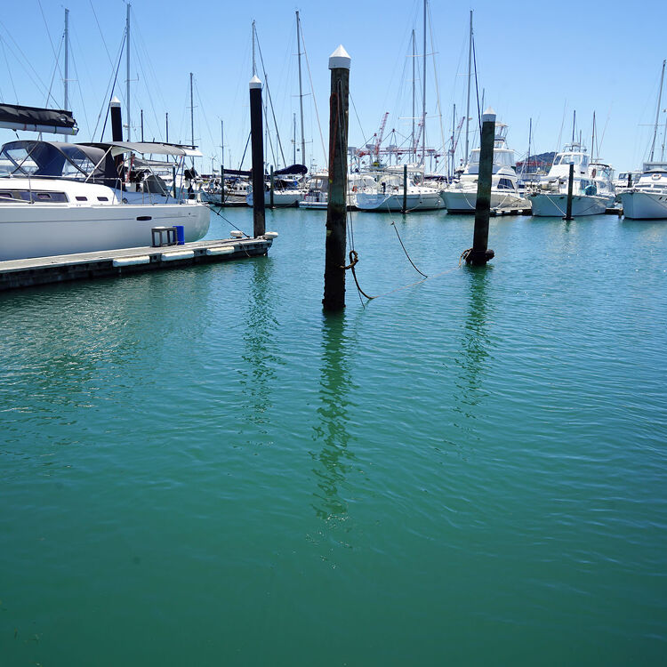 Empty marina berths with mooring poles in Tauranga Bridge Marina, surrounded by docked yachts and visible port cranes in the background.